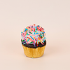 Cupcake 6pk