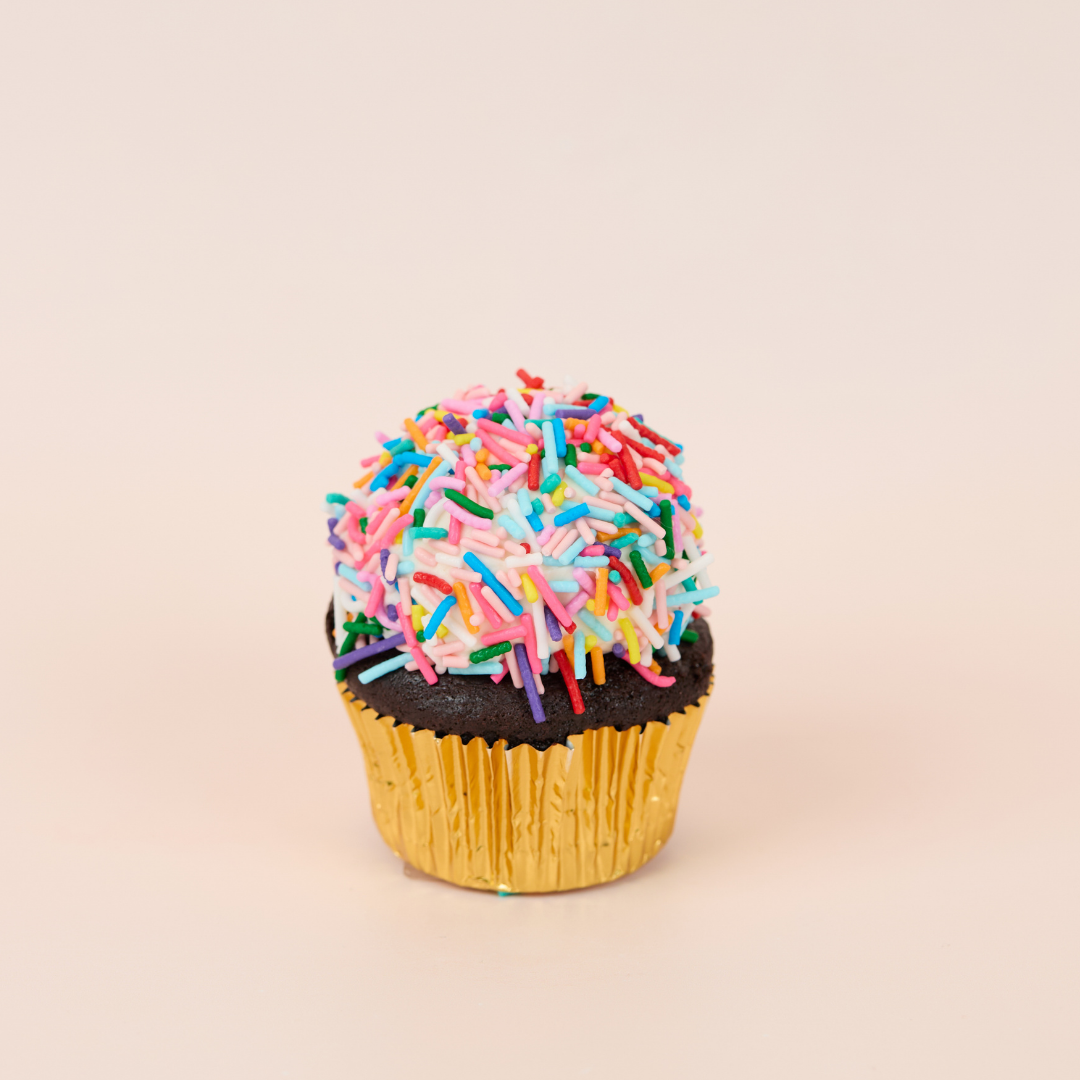 Cupcake 6pk