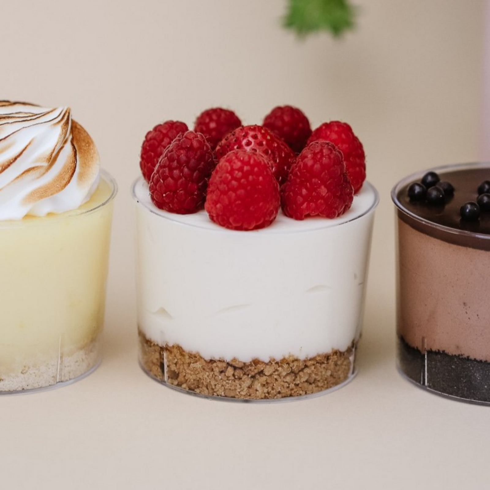 Dessert Cups 6 Pack