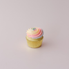 *PREORDER* St. Patty's Day Cupcake Box
