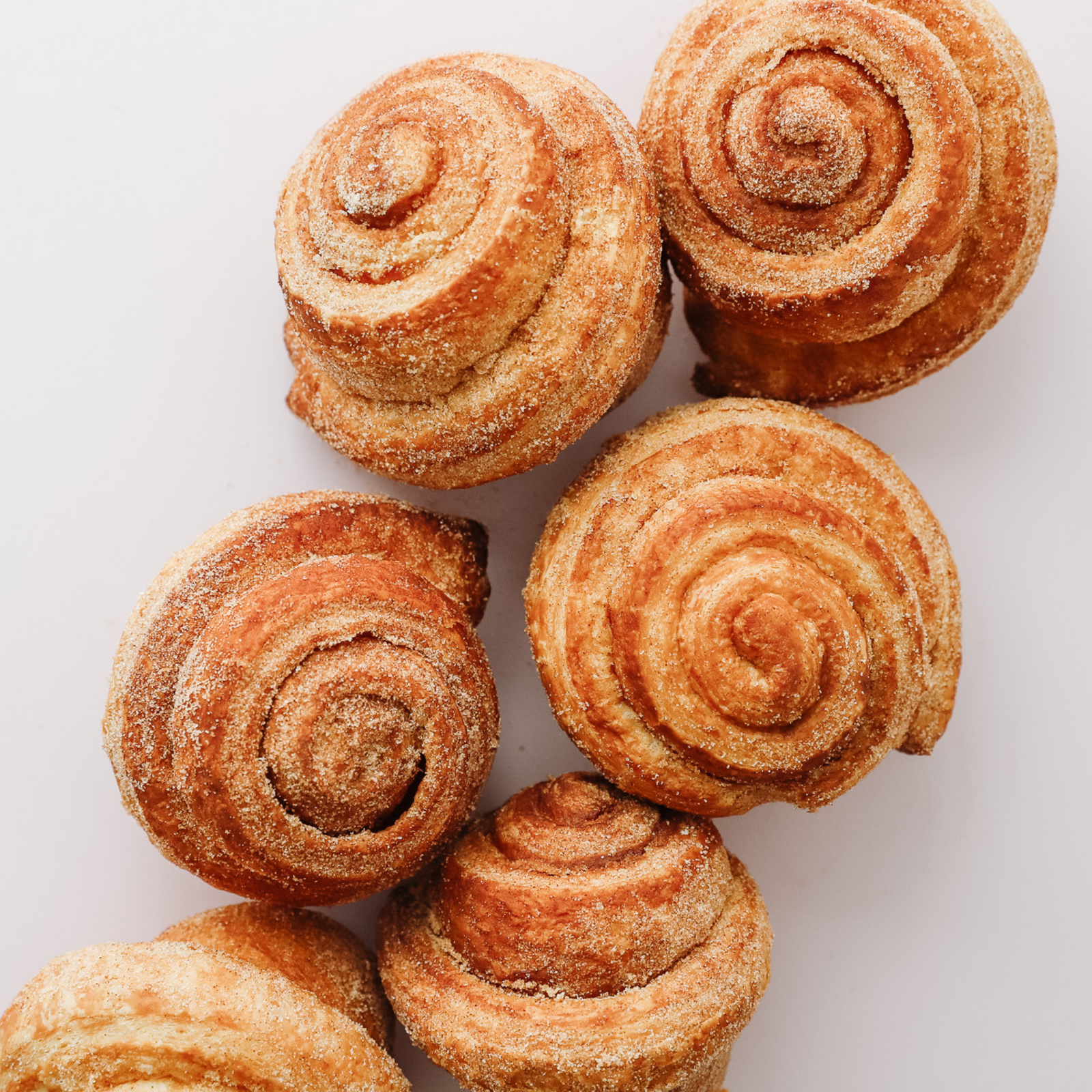Morning Bun