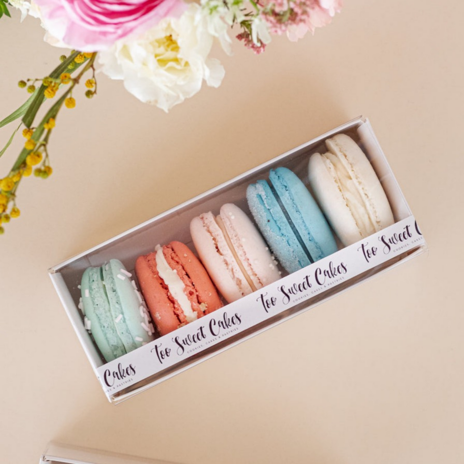 Assorted French Mac Sleeve