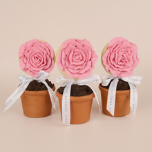  *PREORDER* Flower Pot Gift Box