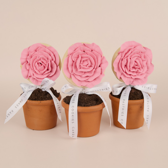 *PREORDER* Flower Pot Gift Box