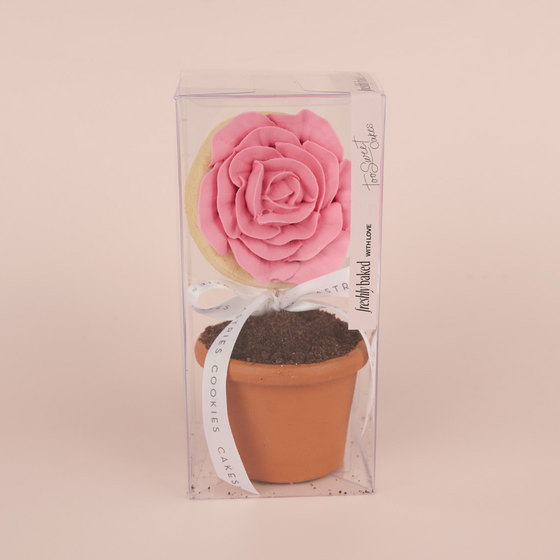 *PREORDER* Flower Pot Gift Box