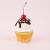 Cupcake 6pk