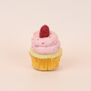 Cupcake 6pk