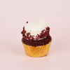 Cupcake 6pk