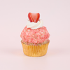 Cupcake 6pk